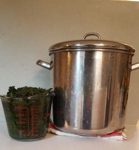 48 cups of fresh greens reduced to 5 cups cooked greens.